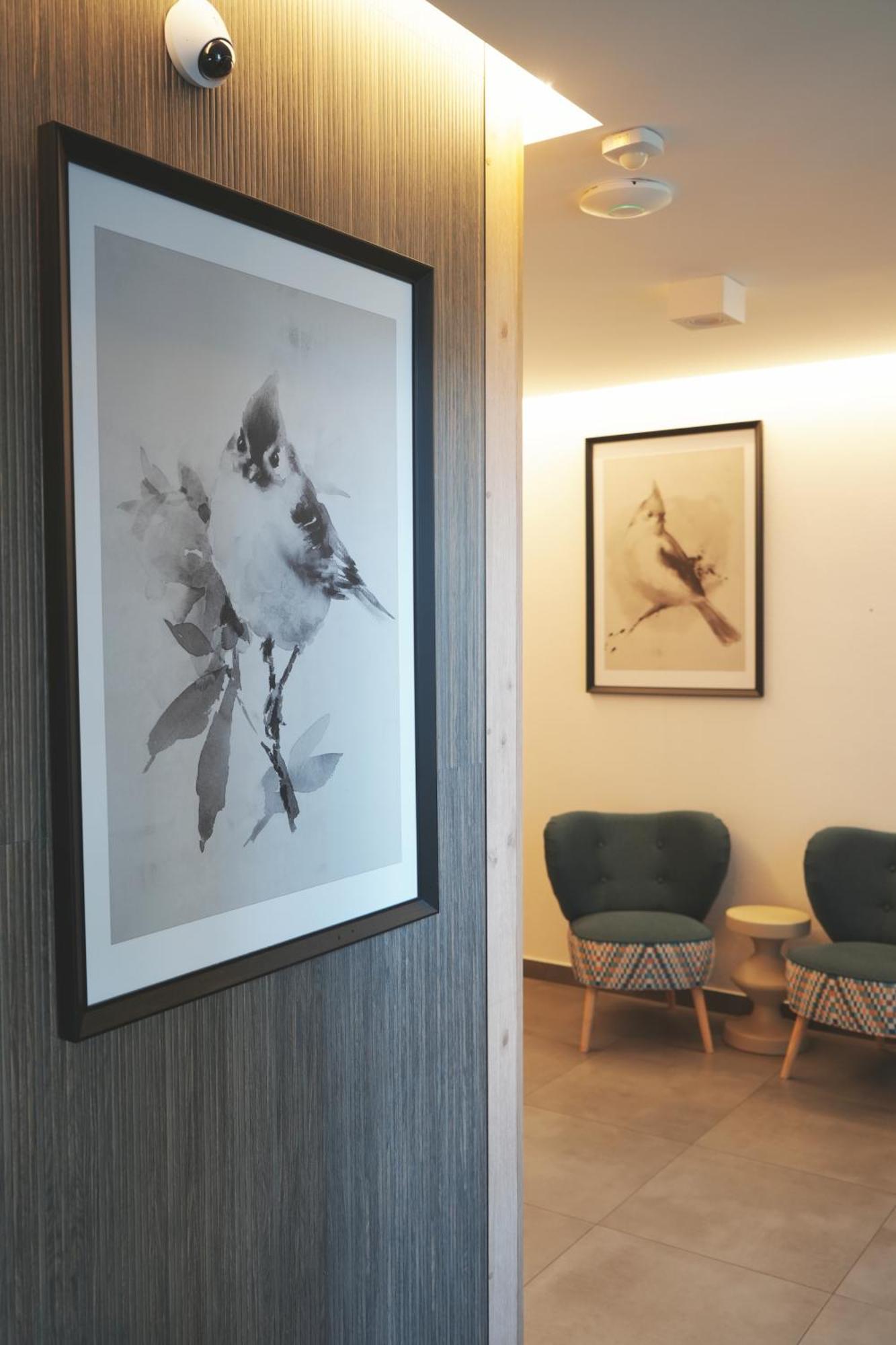 Villa Monica Apartamenty Szczyrk Eksteriør bilde